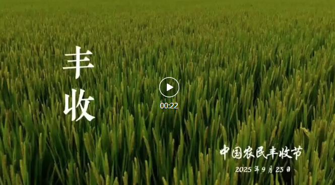 印象江岛 | 世业•丰收