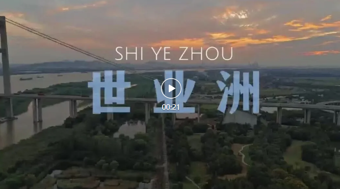 印象江岛 | 世业·掠影